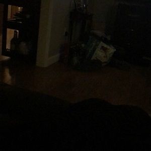 Meet your Posher, Zachary